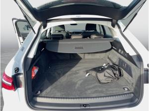 Audi A6 Avant 50 TFSI e S-tronic quattro advanced ACC