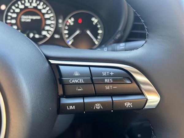 Mazda CX-30 e-SKYACTIV X M-Hybrid 140 Homura AT