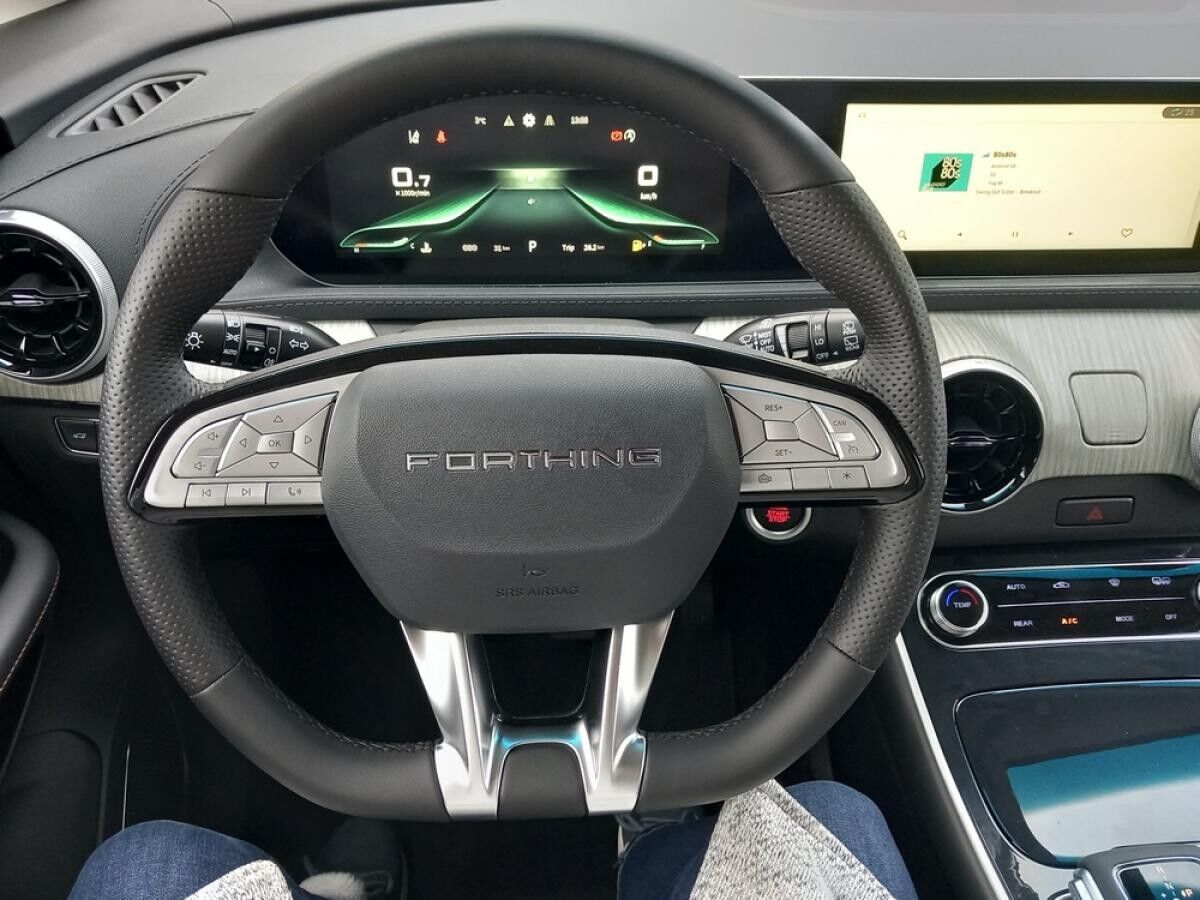 Dongfeng Forthing 4 Gummimatten/Zulassung und erste Inspektion gratis