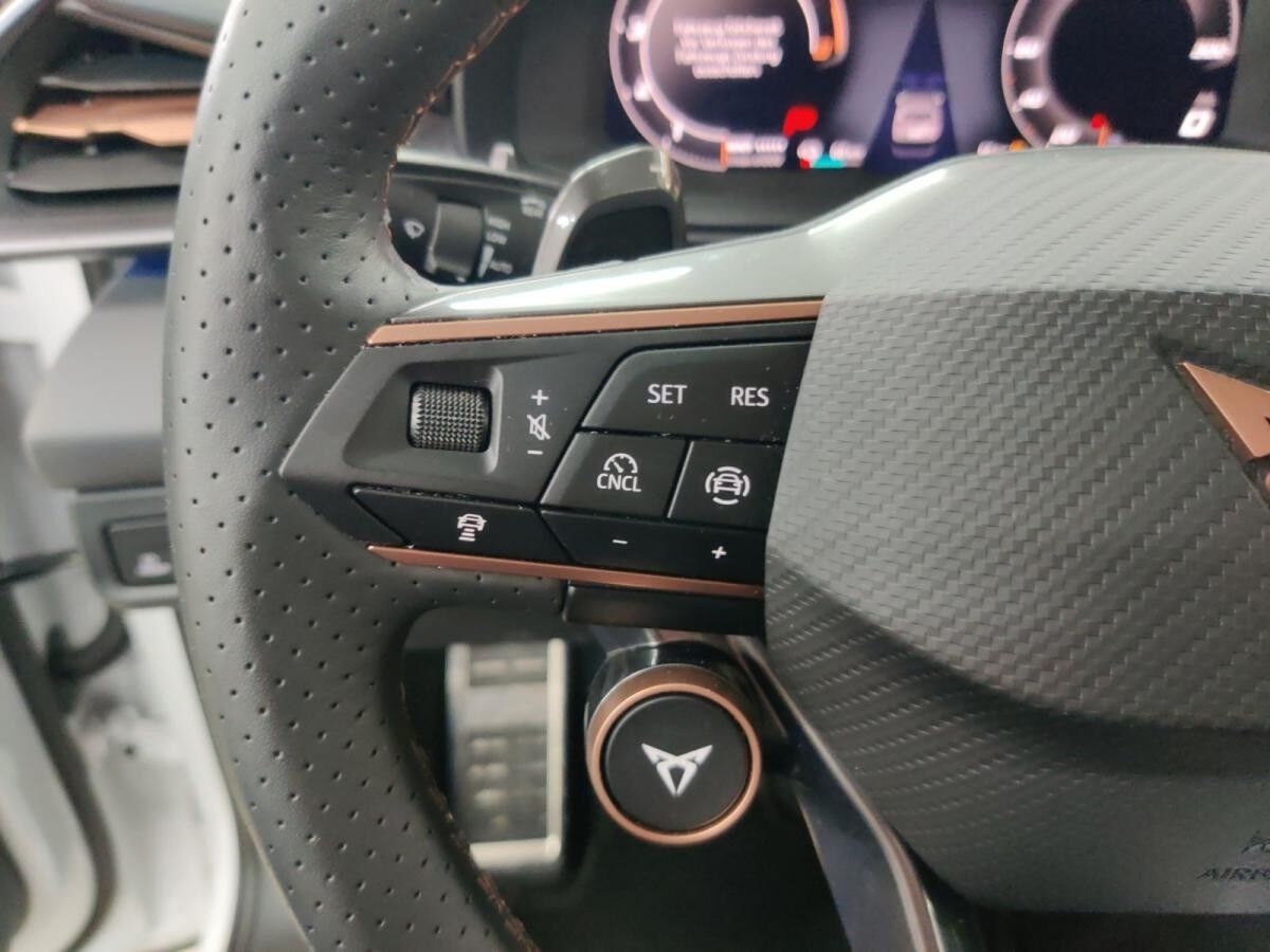 Cupra Terramar Edge eHYBRID Matrix/ACC/HuD/360°/1.30Garantie