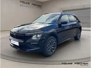 Skoda Kamiq Tour SOFORT VERFÜGBAR! ACC Virtual LED LM PDC
