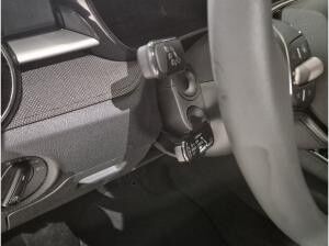 Skoda Fabia Tour SOFORT VERFÜGBAR! ACC AUT Kamera DynLicht PDC