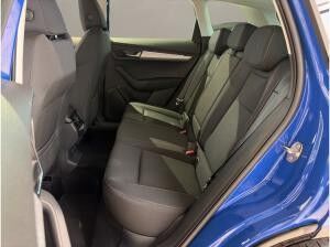 Skoda Karoq Tour SOFORT VERFÜGBAR! ACC AHK AUTO Virtual LED