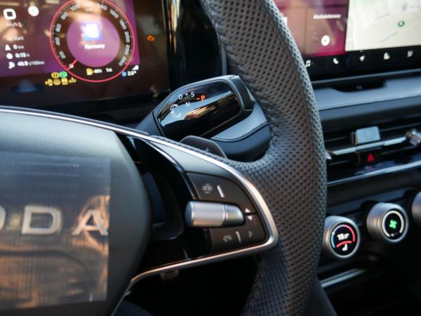 Skoda Kodiaq 2.0 TDI 4X4 Sportline SHZ MEMORY 7-SITZER Memory *851*