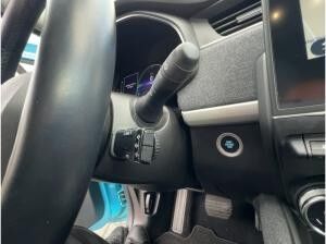 Renault ZOE EXPERIENCE R110 Z.E 50 Inkl.Batterie UPE:32.