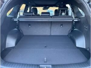 Kia Sorento PE 2.2D AWD Platinum AHK Nappa Glasdach Premium HUD