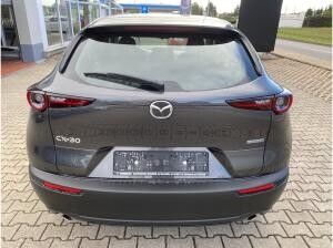 Mazda CX-30 🚨Prime-Line TOP- Abverkaufs-Aktion 🚨