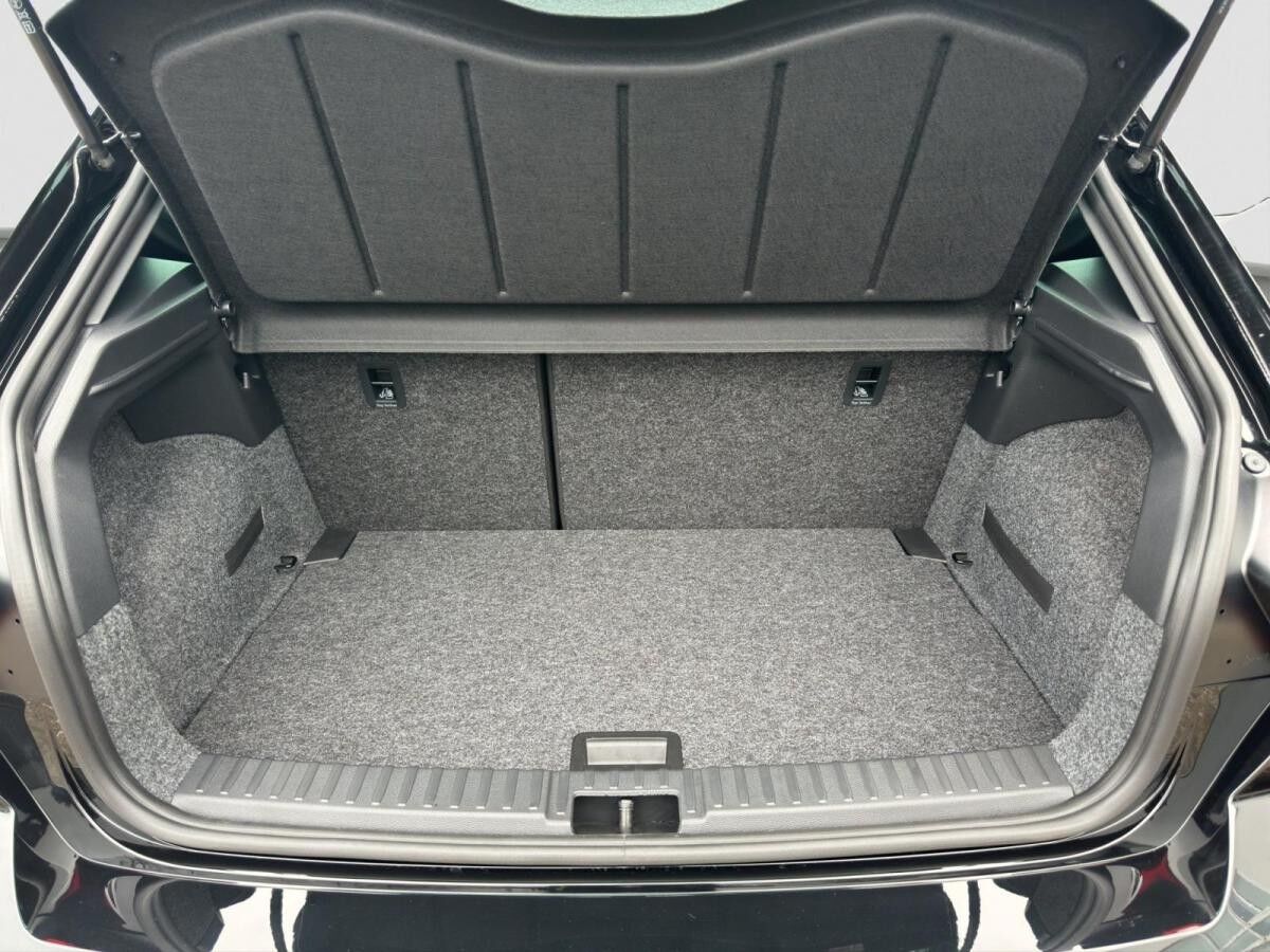 Seat Ibiza 1.0 TSI FR Black Edition LED Kamera Winter