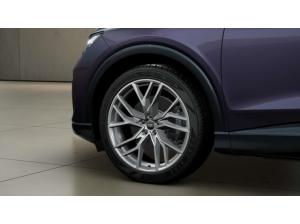 Audi Q4 e-tron e-tron 55 quattro S-Line Int./AHK/P-Dach/20''