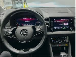 Skoda Karoq 2.0 TDI DSG Tour LED AHK beh. Lenkrad