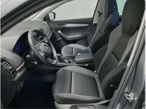 Skoda Karoq 2.0 TDI DSG Tour LED AHK beh. Lenkrad