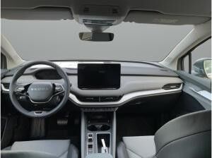 Skoda ENYAQ Paket Winter, Plus, Transport & AHZV