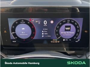 Skoda Kodiaq Selection 2,0 TDI 7-Gang-DSG 4x4