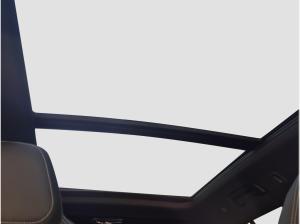 Skoda Kodiaq Sportline 4x4 TDI DSG Pano 360°