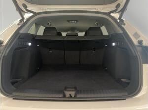 Audi Q6 e-tron S line NAVI/LED-PLUS/LM20/ACC/360°