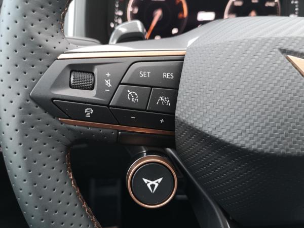 Cupra Ateca Tribe Edition 4Drive 360° Kamera el. Heckklappe