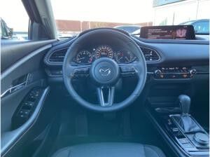 Mazda CX-30 2.5L e-SKYACTIV G FWD ​🤑2 RATEN GESCHENKT​🤑Homura KAMERA+ALEXA+