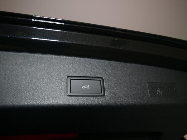 Volkswagen Golf Variant R 2.0l TSI 4MOTION 245 kW (333 PS) 7-Gang DSG