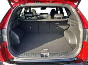 Hyundai TUCSON 1.6 N LINE BLACK WEEKS Allrad 180PS 7-DCT NAVI LED 19" KAMERA