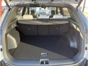 Kia Sportage MY26 GT-Line Pano Sitzpaket 360° Harman