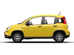 Fiat Panda Christmas-Deal  | Stark reduzierte Überführungskosten | 10.000 km jährliche Laufleistung 🚀