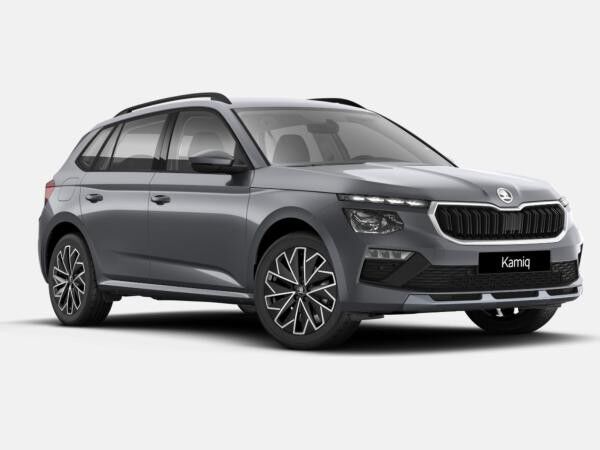 Skoda Kamiq Tour❗DSG❗AHK*Fahrerassistenz❗Sofort verfügbar❗Privat und Gewerbe