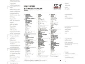 Renault Austral Esprit Alpine E-Tech 200❗️HANDWERKER-AKTION❗️