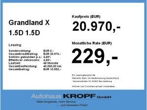 Opel Grandland X 1.5D Fin. ab 2,99 % Navi,RückfahrK