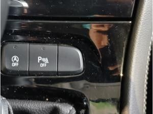 Opel Grandland X 1.5D Fin. ab 2,99 % Navi,RückfahrK