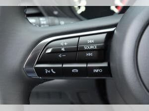 Mazda CX-30 2.0 eSKYACTIV-X 186ps Automatik Homura ACC