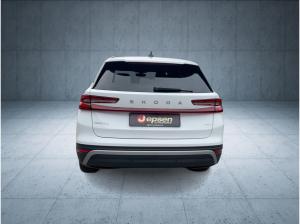 Skoda Kodiaq Selection 2.0 TDI DSG 4x4/AHK/MATRIX ACC