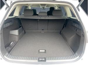 Skoda Kodiaq Selection 2.0 TDI DSG 4x4/AHK/MATRIX ACC