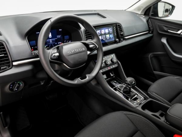 Skoda Karoq Selection 1.5 TSI DSG AHK Winter
