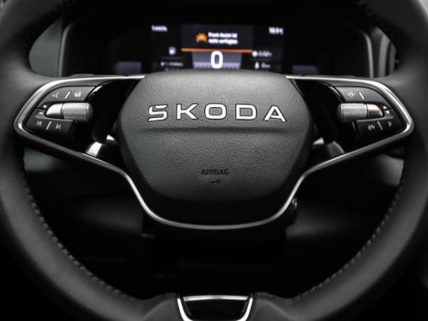 Skoda Karoq Selection 1.5 TSI DSG AHK Winter