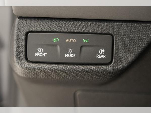 Cupra Terramar 2.0 TSI DSG 4Drive VZ CAL