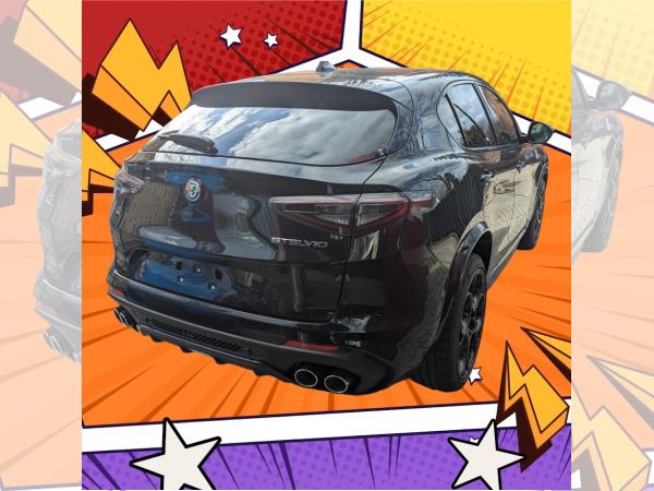 Alfa Romeo Stelvio Quadrifoglio 2.9 V6 Bi-Turbo 382 kW (520 PS) - Privat