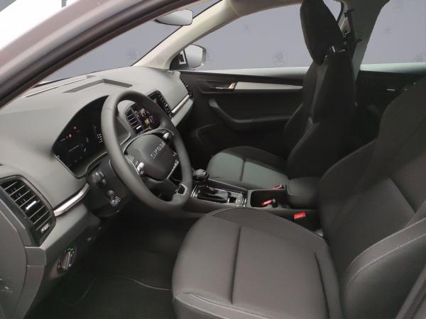 Skoda Karoq Balance 1.5 TSI DSG AHK NAVI LED RFK PDC