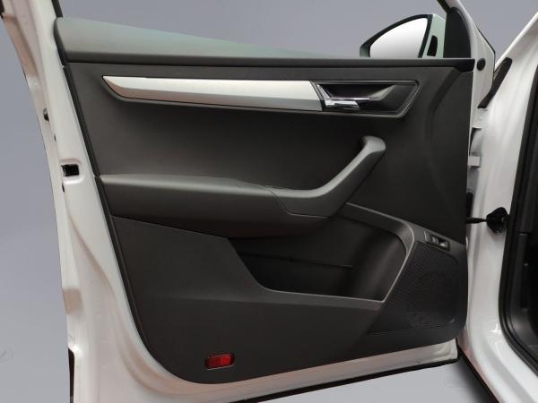 Skoda Karoq Balance 1.5 TSI DSG AHK NAVI LED RFK PDC