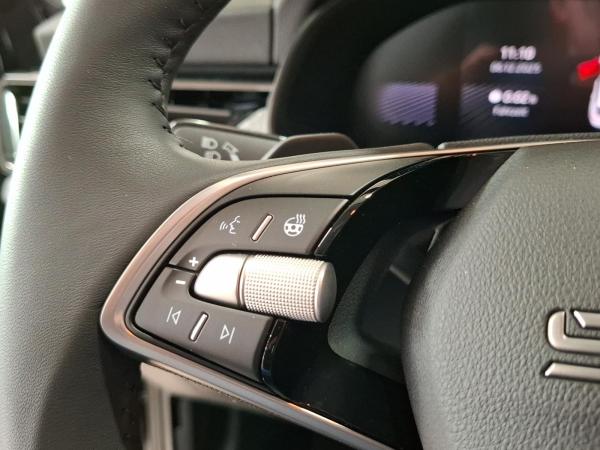 Skoda Kamiq Tour 116PS Black Fahrassist Matrix RKam