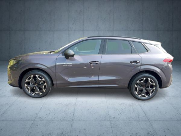 Cupra Terramar Vorführwagen 1.5 eTSI HDMatrix/Sennheiser/HuD/Nav/19