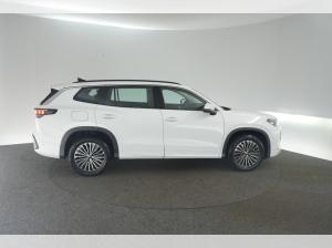 Volkswagen Tayron Life 1.5 eHybrid / SOFORT VERFÜGBAR !