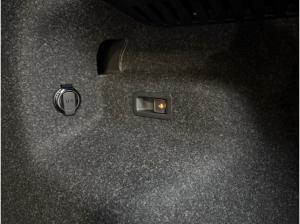 Skoda ENYAQ RS Suite *MAXX*PANO*AHK*