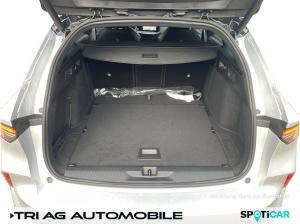 Opel Astra Sports Tourer GS 1.2 Turbo MT-6 Komfort-Paket AHK-abn. Allwetterreifen