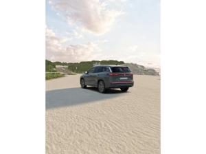 Volkswagen Tayron Elegance 2,0 TDI App-Connect Sitzh. LED, Aktion !