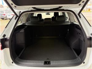 Skoda Kodiaq Selection 1,5 TSI iV 150 kW 6-Gang-DSG Privatleasing**Aktion**