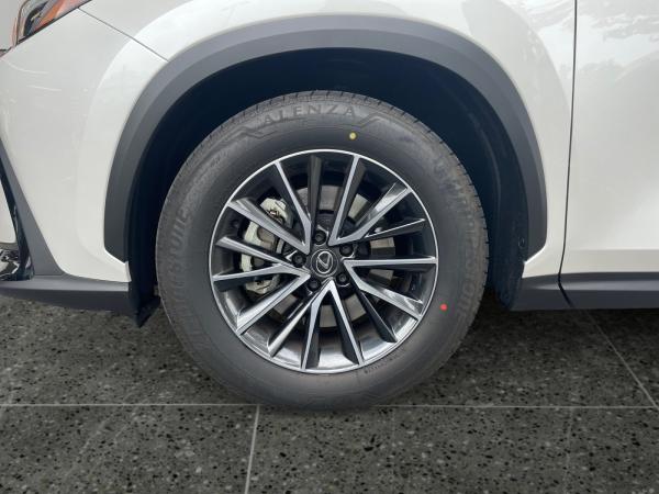 Lexus NX 450h+ Akustikglas Bel.Sitz HUD LED