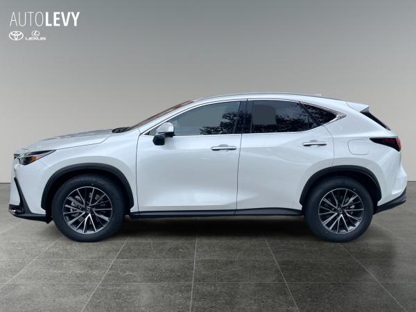 Lexus NX 450h+ Akustikglas Bel.Sitz HUD LED