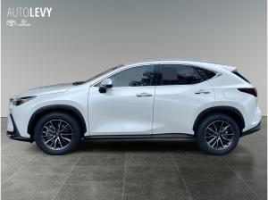 Lexus NX 450h+ Akustikglas Bel.Sitz HUD LED
