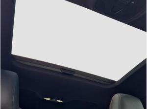 Audi RS3 RS 3 Sportback S tronic MATRIX HUD Pano Kamera