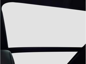 Audi SQ8 SUV 4.0 TSFI quattro ACC MATRIX StHzg 360°